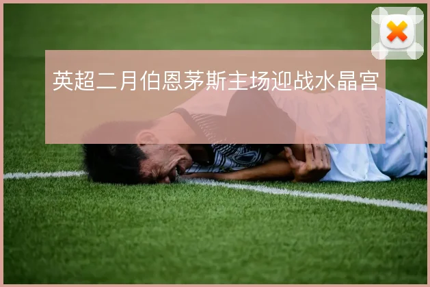 英超二月伯恩茅斯主场迎战水晶宫