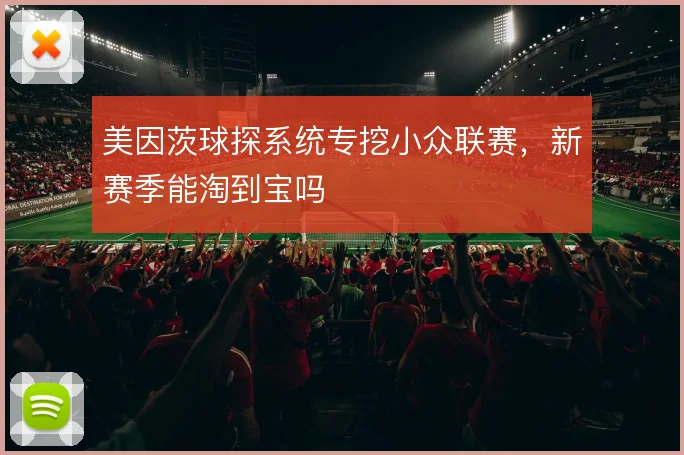 美因茨球探系统专挖小众联赛，新赛季能淘到宝吗