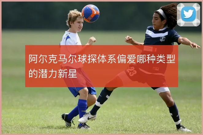 阿尔克马尔球探体系偏爱哪种类型的潜力新星